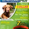 Hartz Flea Collar for Dogs Kills Fleas Ticks Reflective-0