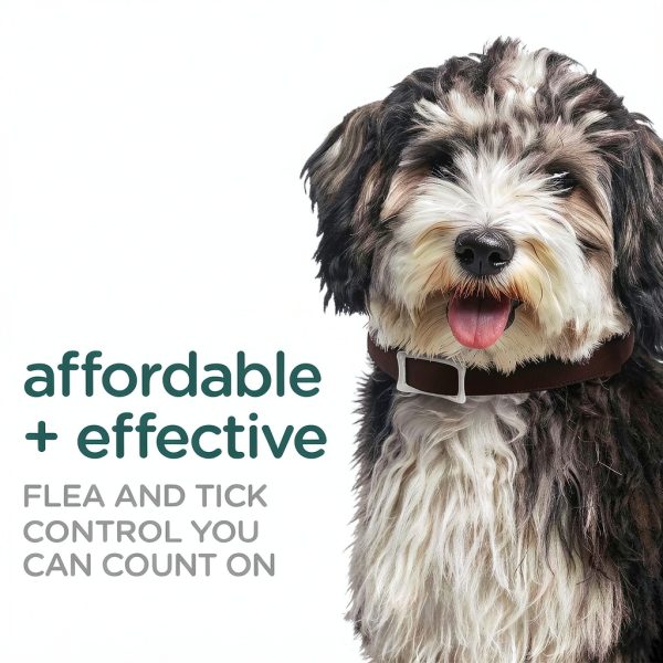 Sergeants Flea Collar for Dogs Kills Fleas Ticks 6 Months-3