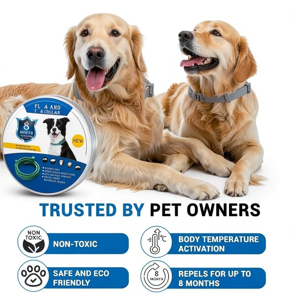 Pyrrion Flea Collar for Dogs Waterproof Adjustable-7