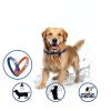 VICSOM Dog Flea Collar 8 Month Protection Water Resistant-4