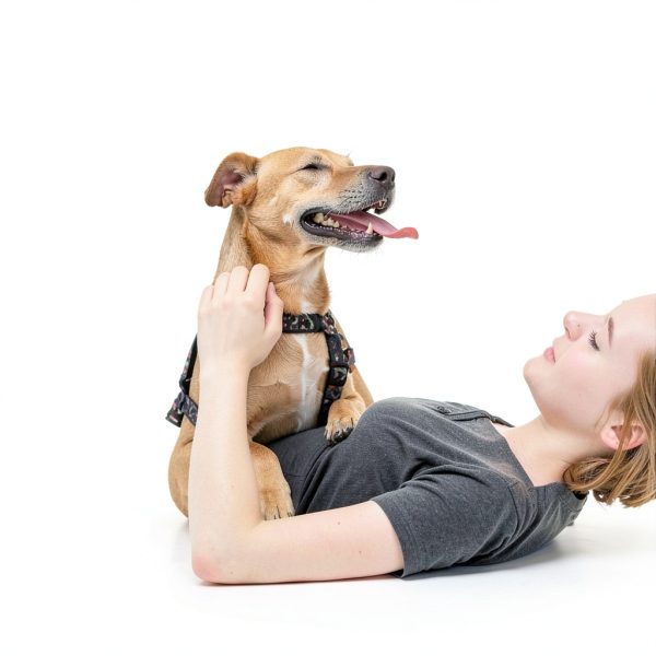 Natural Care Flea Tick Collar Dogs Natural Oils Protection-2