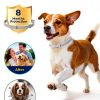 Glantu Dog Flea Collar Plant Based 8 Month Protection-2