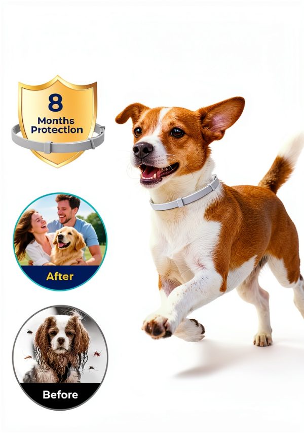 Glantu Dog Flea Collar Plant Based 8 Month Protection-2