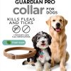 Sergeants Flea Collar for Dogs Kills Fleas Ticks 6 Months-1