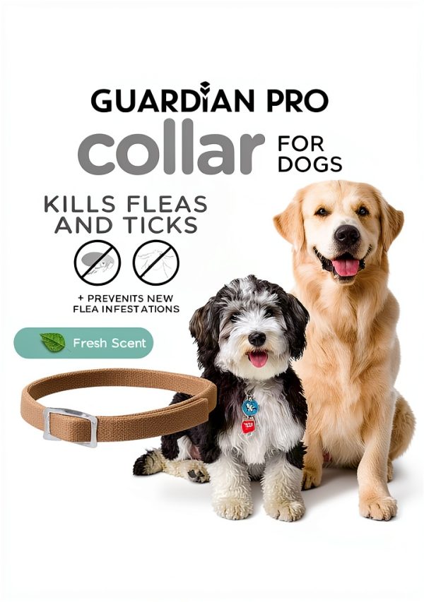 Sergeants Flea Collar for Dogs Kills Fleas Ticks 6 Months-1