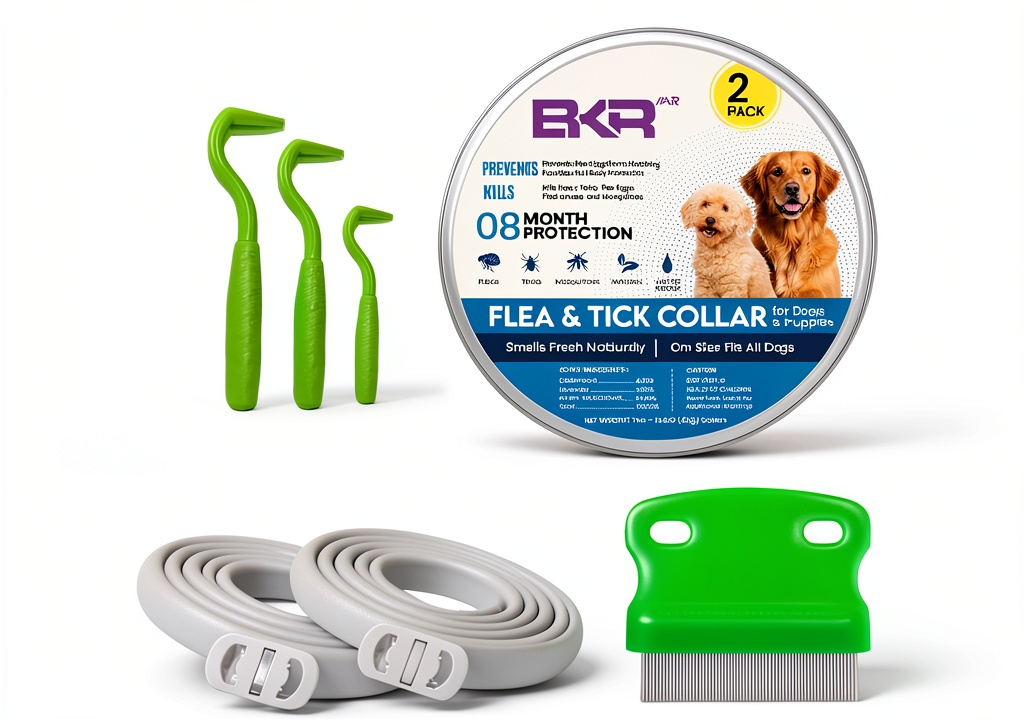 Glantu Flea Collar on a dog during outdoor play