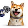 Pyrrion Flea Collar for Dogs Waterproof Adjustable-4
