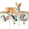 Trihood Natural Flea Collar for Dogs Waterproof Adjustable-5