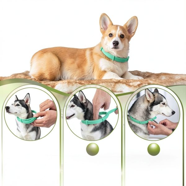 Trihood Natural Flea Collar for Dogs Waterproof Adjustable-5