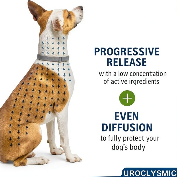 Pyrrion Flea Collar for Dogs Waterproof Adjustable-1