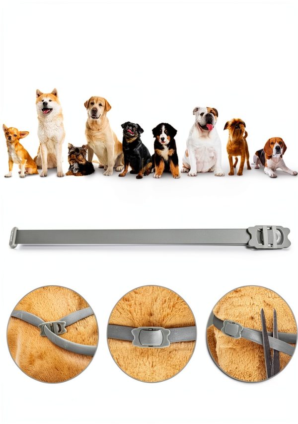 Ningbo Grand Flea Tick Collar Dogs 8 Month Protection-4