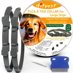 Taom Natural Flea Collar for Dogs Long Lasting Protection-0