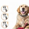 Leafloom Dog Flea Collar Natural Ingredients Long Lasting-4