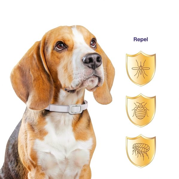 BestHoby Dog Flea Collar Plant Powered Adjustable 4 Pack-2