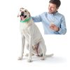 Trihood Natural Flea Collar for Dogs Waterproof Adjustable-6