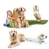 Trihood Natural Flea Collar for Dogs Waterproof Adjustable-3