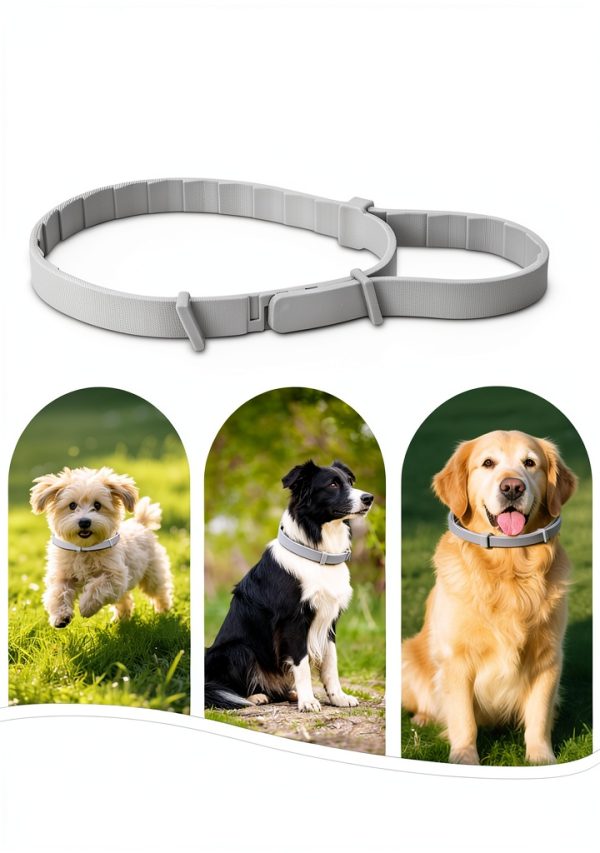 Glantu Dog Flea Collar Plant Based 8 Month Protection-5