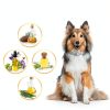 BestHoby Dog Flea Collar Plant Powered Adjustable 4 Pack-1