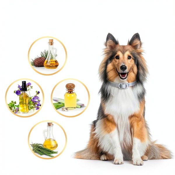 BestHoby Dog Flea Collar Plant Powered Adjustable 4 Pack-1