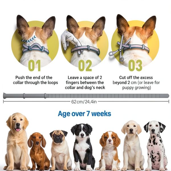 Pyrrion Flea Collar for Dogs Waterproof Adjustable-6