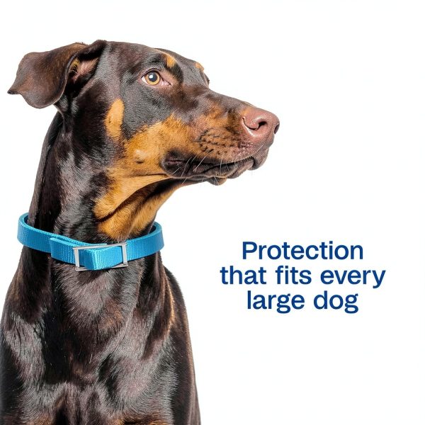 ADAMS Flea and Tick Collar for Dogs 7 Month Protection-3