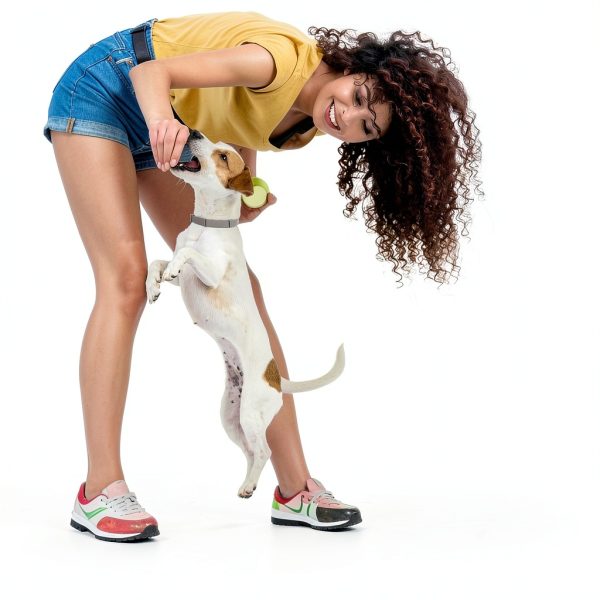 Zafelou Dog Flea Collar Adjustable Long Lasting Protection-1