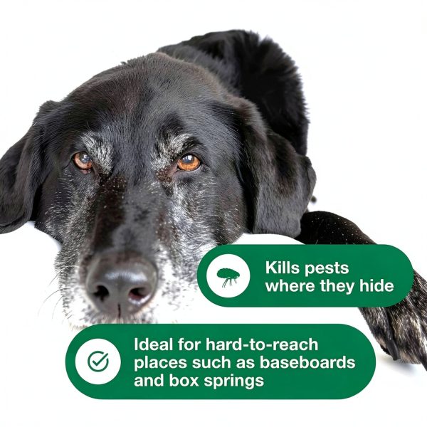 Advantage Spot Crevice Spray Elanco Flea Tick-6