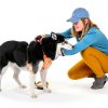 Permethrin Spray Sawyer Dog Flea 24oz Free-4