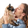 Flea & Tick Spray by ADAMS for Dogs & Cats-5