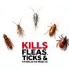 Raid Flea and Tick Killer for Dogs and Homes-2