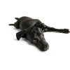 Advantage Spot Crevice Spray Elanco Flea Tick-4