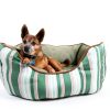 Dog Flea Spray Supply-Shop Pyrethrin IGR Formula-5
