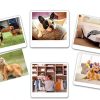 Natural Flea Spray for Dogs by Taom LLC Pet Supplies-4